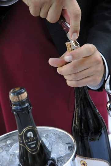 Festa Oltrepò Pavese